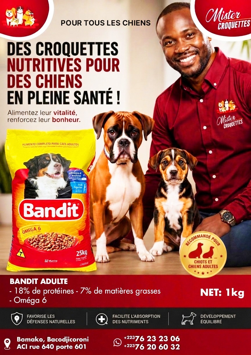 Bandit Adulte 25 kg